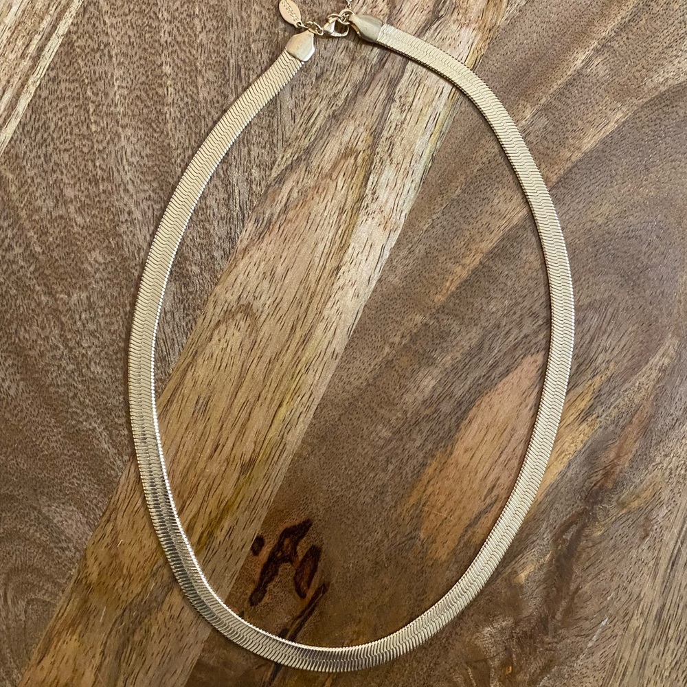 Express Gold Plated Flat Snake Chain Necklace